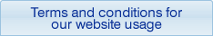 Terms and conditions for our website usage